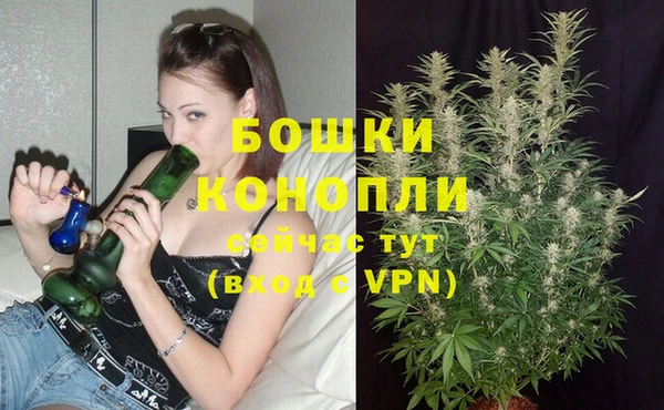каннабис Беломорск