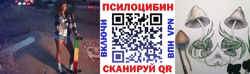 Галлюциногенные грибы Cubensis  закладка  Пионерский 